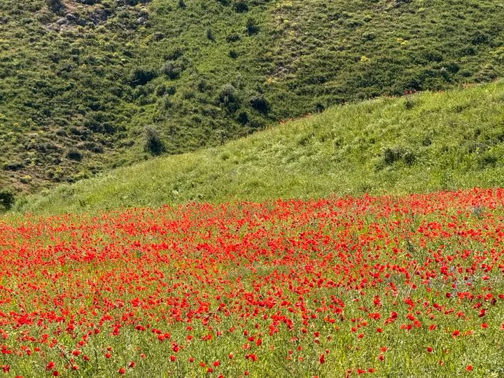 Arménie