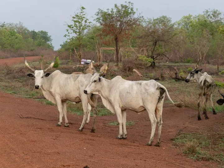 Bénin