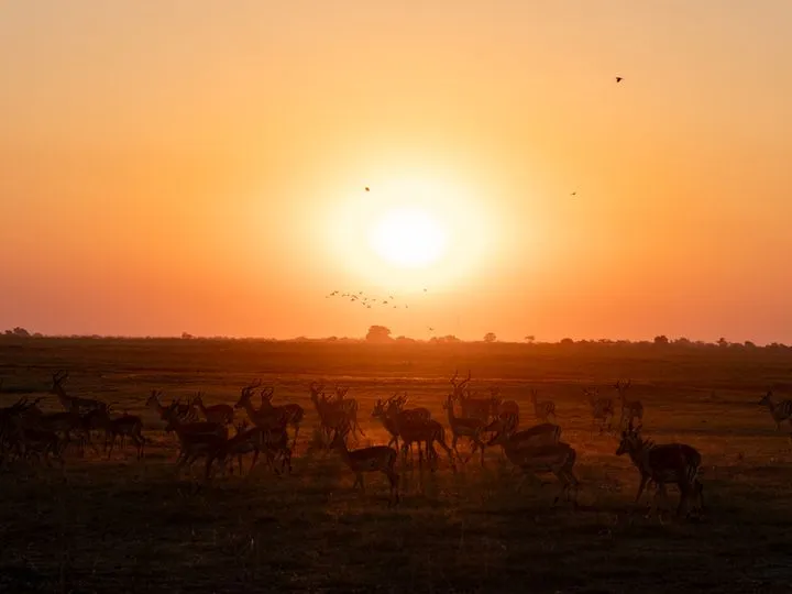Botswana