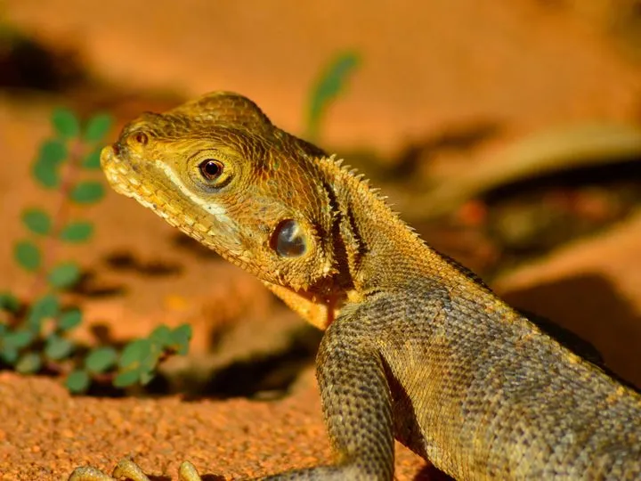 Burkina Faso