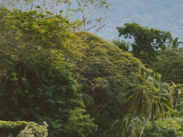 Costa Rica