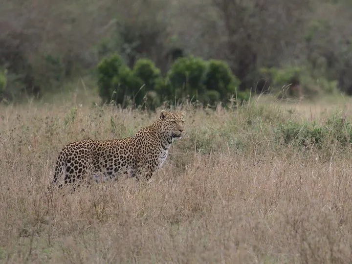 Kenya