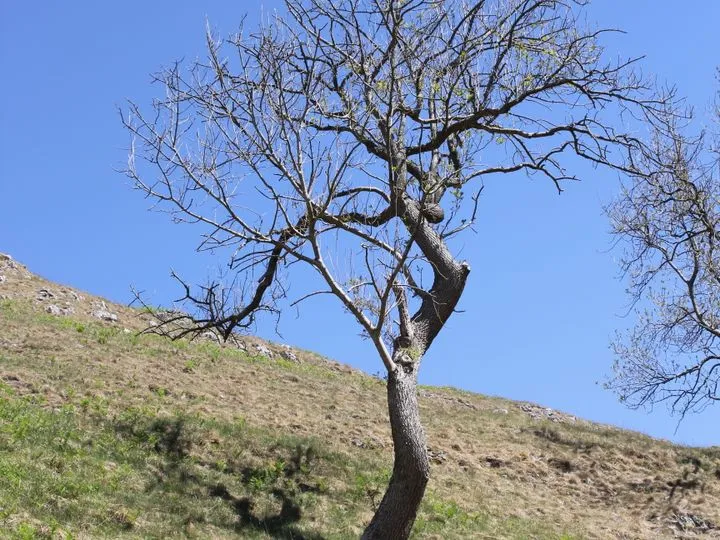 Macédoine du Nord