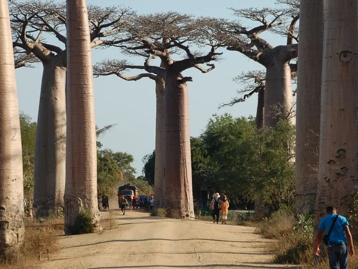 Madagascar