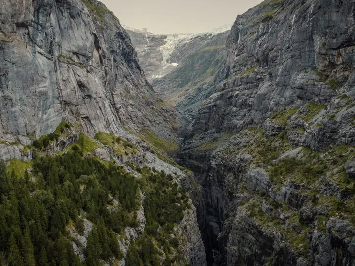 Suisse