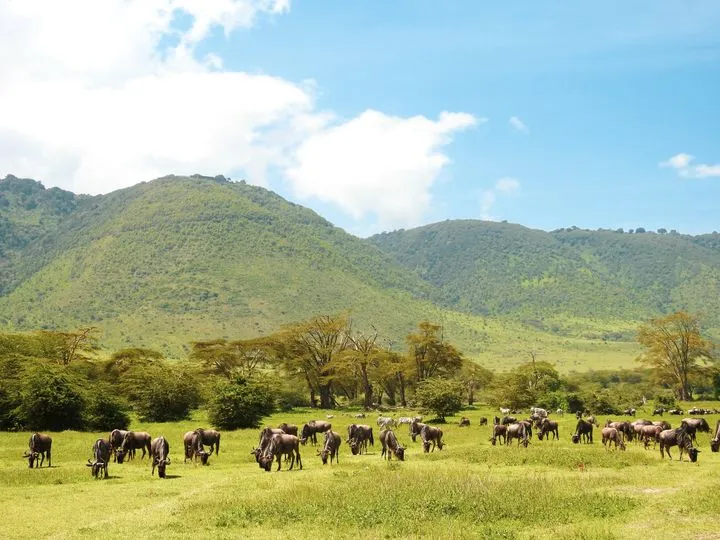 Tanzanie
