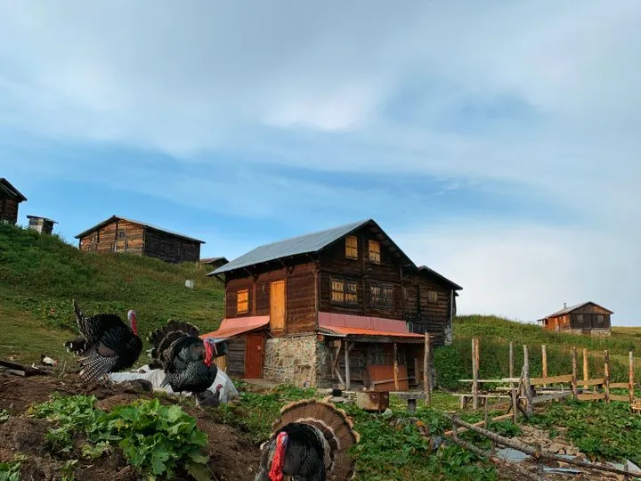 Turquie