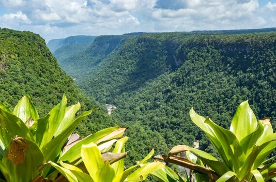 Guyana