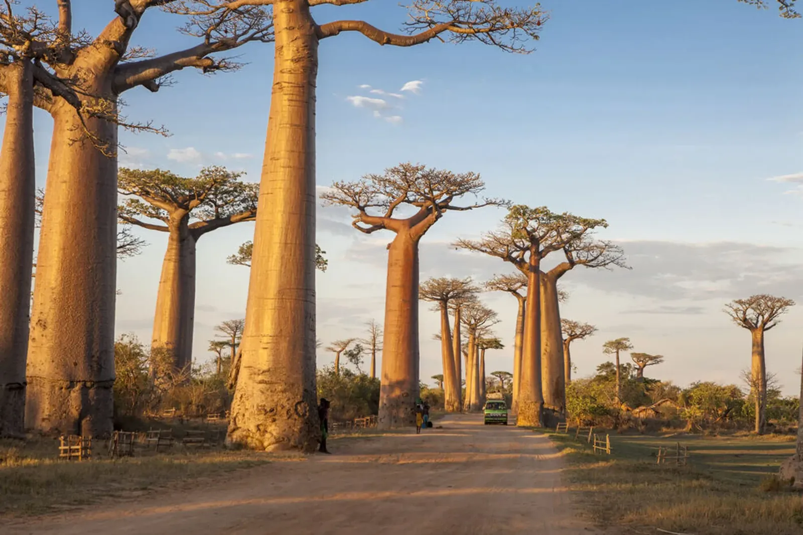 Madagascar