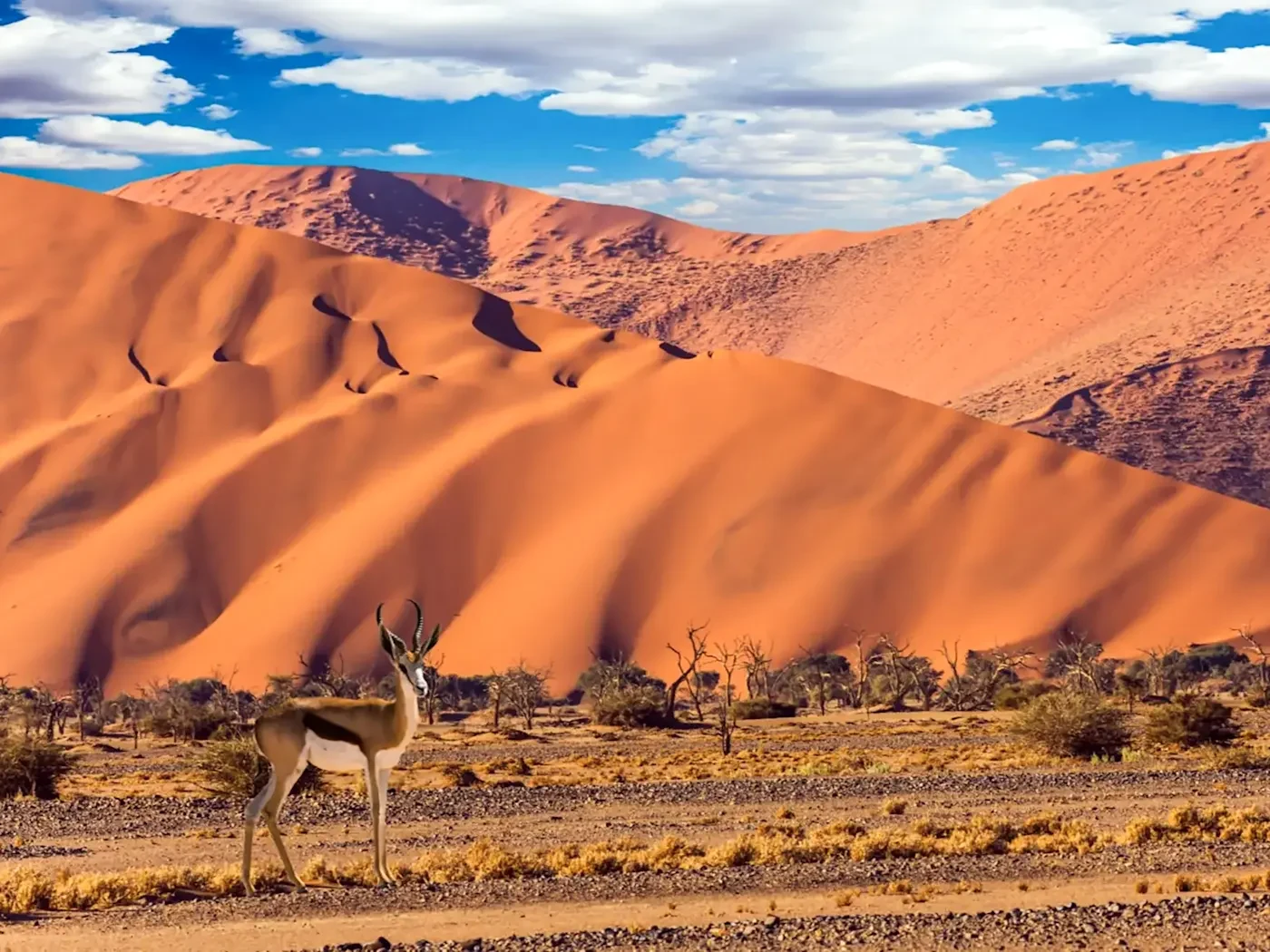 Namibie