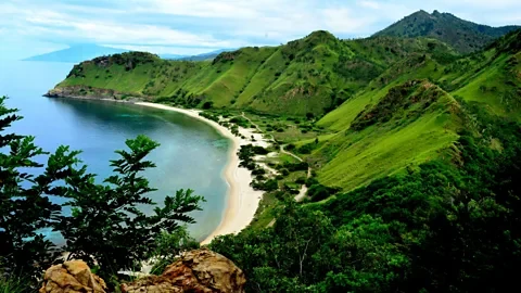 Timor oriental
